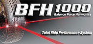 BFH1000