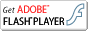 FLASH�v���O�C���̃_�E�����[�h